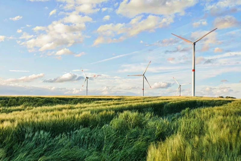 Zazielenianie energii to nowe miejsca pracy